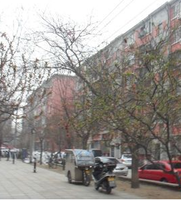 市桃花園 市桃花園