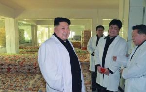 萬里馬促生產運動 萬里馬促生產運動