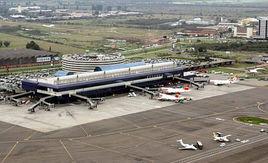 小薩爾加多國際機場 小薩爾加多國際機場