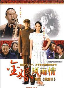 金婚風雨情[2010年胡軍、周韻主演的電視劇]