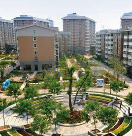 花香維也納 花香維也納