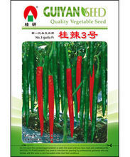 桂辣3號 桂辣3號
