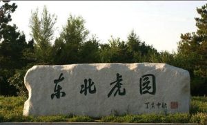 吉林東北虎園 吉林東北虎園