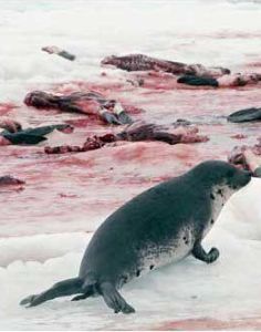 慘絕人寰 慘絕人寰