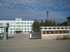 烏奴耳林業局 烏奴耳林業局