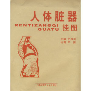 《人體臟器掛圖》 《人體臟器掛圖》
