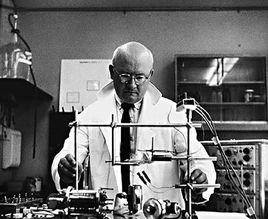 弗拉季米爾·德米科霍夫 弗拉季米爾·德米科霍夫