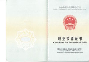 網際網路消費金融管理師（高級）證書樣本02