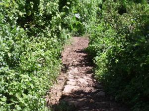 下木瓜苴村 下木瓜苴村