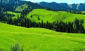 那拉提草原風景區