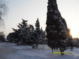 乳山市第五中學 乳山市第五中學