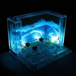 螞蟻工坊[一種種子及飼養配件]