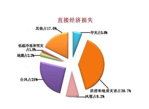 直接經濟損失 直接經濟損失