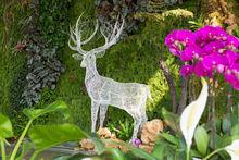 植己園藝生活體驗館