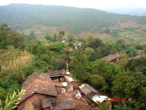 閘塘下閘塘村 閘塘下閘塘村