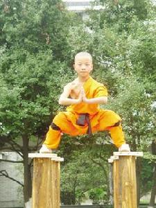 少林真功夫 少林真功夫