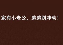 家有小老公,弟弟別衝動! 家有小老公,弟弟別衝動!