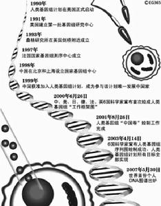 人類基因組計畫