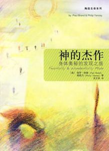 伊斯蘭青年 伊斯蘭青年