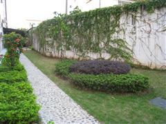 沙溪幼稚園 沙溪幼稚園