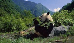 勿角自然保護區 勿角自然保護區