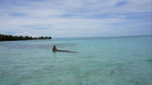 新克里多尼亞島 新克里多尼亞島