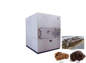 動態微波真空乾燥機 動態微波真空乾燥機