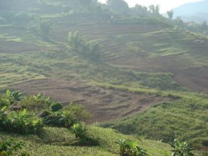 挖落山村 挖落山村