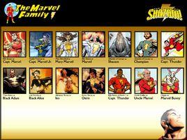 神奇家族[美國DC漫畫旗下超級英雄家族]