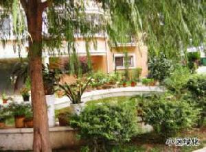 鵬歡鑫寶園 鵬歡鑫寶園