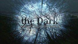 窺探生物 窺探生物