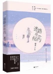 迷路在紐約 迷路在紐約