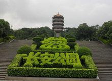 長安區[河北省石家莊市長安區]