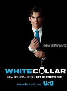 妙警賊探 妙警賊探