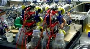 尿液發電手機 尿液發電手機