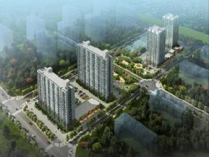 SOCO公社 SOCO公社