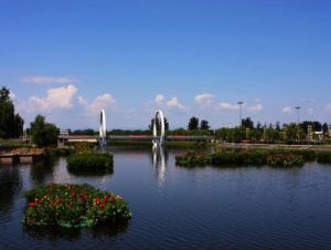 減河公園 減河公園