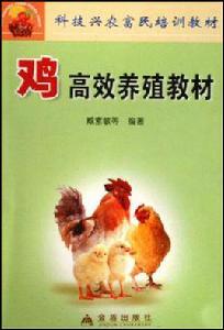 雞高效養殖教材 雞高效養殖教材