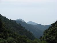 泰山國家森林公園