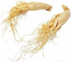 西洋參提取物 西洋參提取物