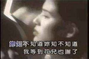 等到花兒也謝了 等到花兒也謝了