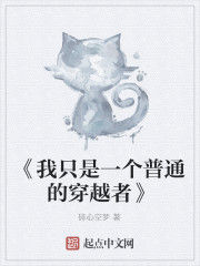 《我只是一個普通的穿越者》