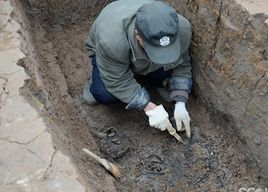 戰國船棺墓群 戰國船棺墓群