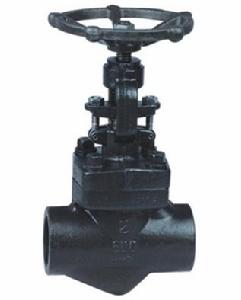 溫州洛克鍛鋼閘閥