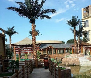 綠中海溫泉 綠中海溫泉