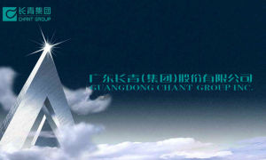 廣東長青（集團）股份有限公司