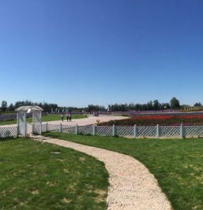 森林河趣那主題公園 森林河趣那主題公園