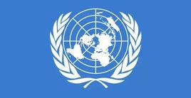 關於律師作用的基本原則 關於律師作用的基本原則