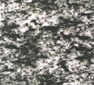 Blanco Platinum Blanco Platinum