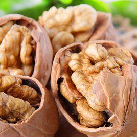 石牆薄皮核桃 石牆薄皮核桃